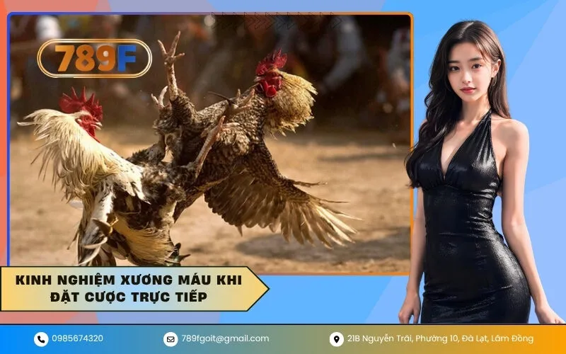 Kinh Nghiệm Xương Máu Khi Đặt Cược Trực Tiếp